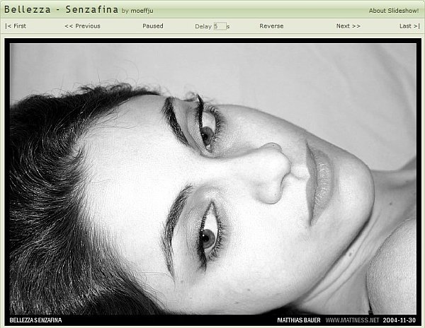 <b>Slideshow</b> creates a slideshow of a deviant's gallery. Screenshot of Slideshow